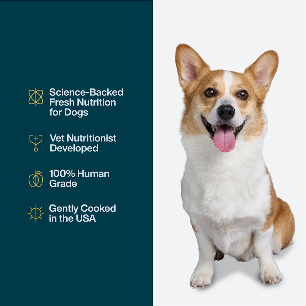 Pantry Fresh - Joint & Skin Support 12.5 oz Case (12 Pack)